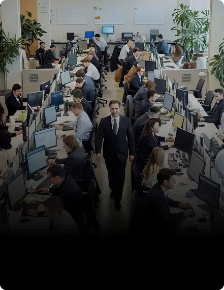 Enterprises & Large Organizations