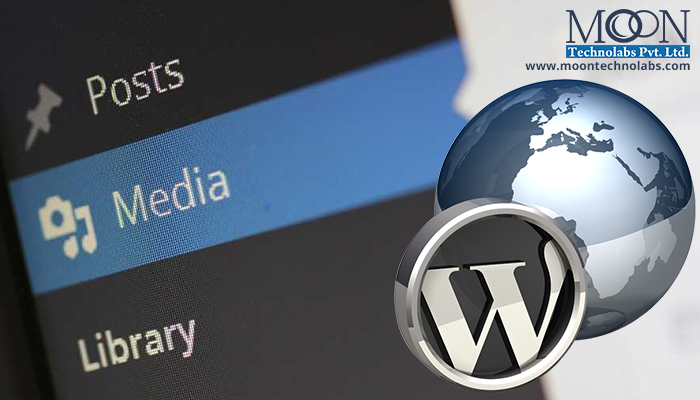 The Most Possible Risk Factors Faced by Wordpress Developers